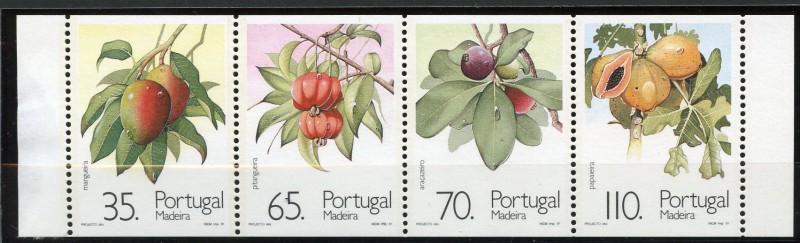 Frutos de Madeira 1991