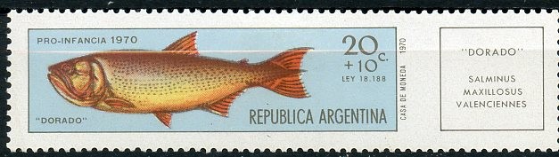 Pescado