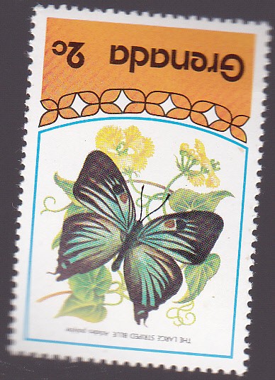 mariposa