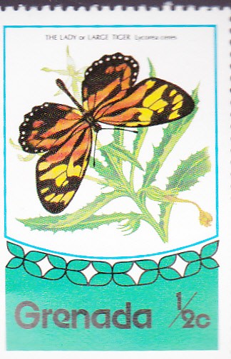 mariposa