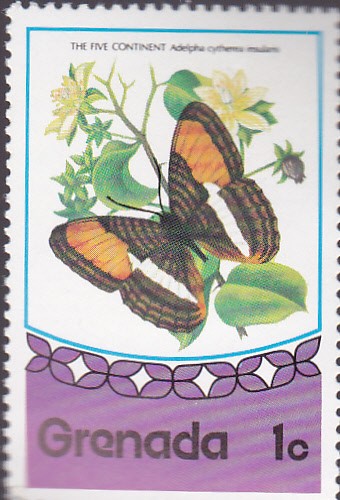 mariposa