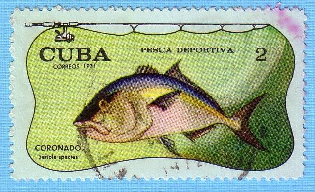 Pesca Deportiva - Coronado