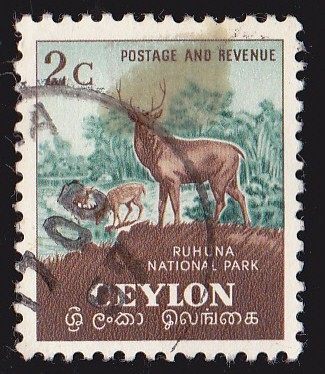 CEYLAN - RUHUNA NATIONAL PARK