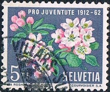 PRO JUVENTUD 1962. FLOR DEL MANZANO. Y&T Nº 700