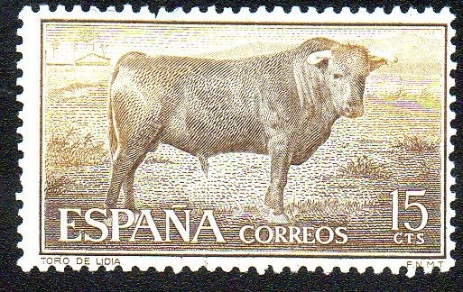 Fiesta nacional - La tauromaquia