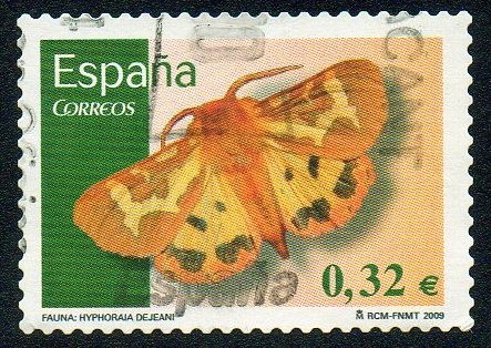 Flora y Fauna - Hyphoraia Dejeani