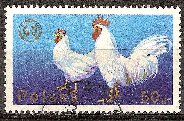 20a Congreso de la Federación Europea de Zootecnia,de Varsovia(Gallinas).