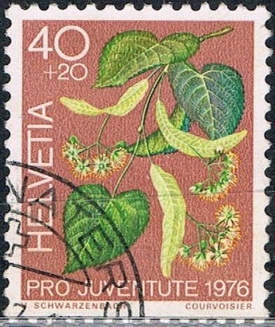 PRO JUVENTUD 1976. PLANTAS MEDICINALES DEL BOSQUE. LIMA. Y&T Nº 1014