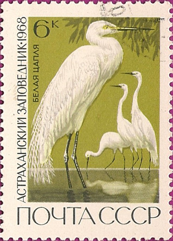 Reservas Estatales. Garza Blanca.