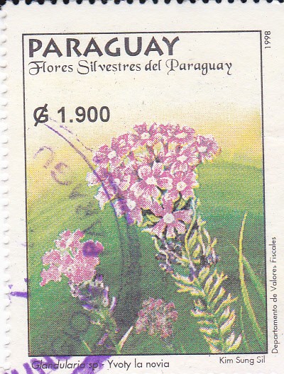 Flores silvestres de Paraguay