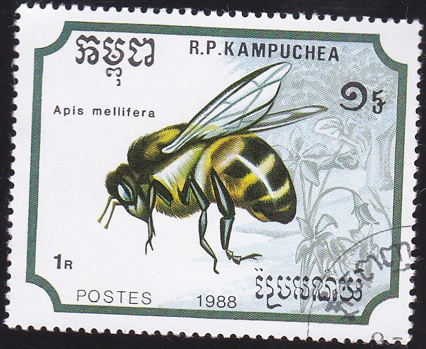 abeja