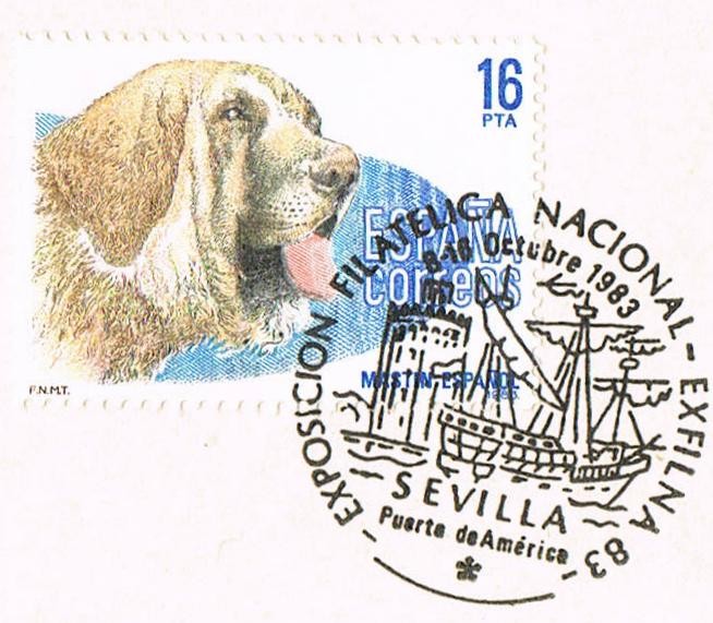 PERROS DE RAZA ESPAÑOLA