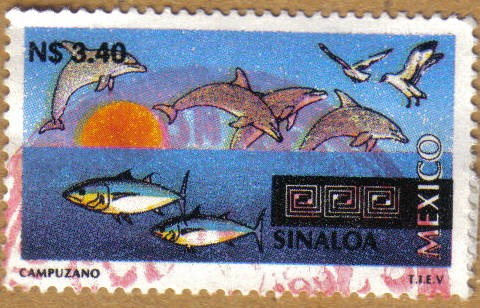 TURISMO - SINALOA Serie 7