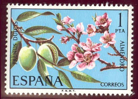 1975 Flora - Edifil:2254