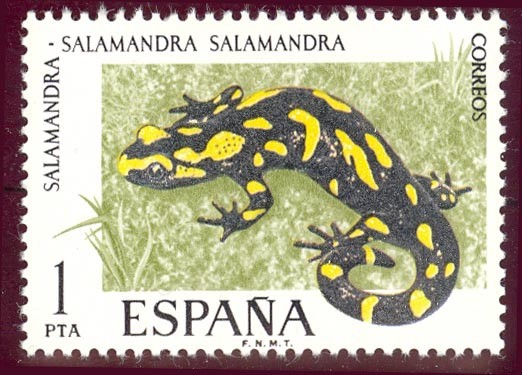 1975 Fauna Hispánica. Salamandra - Edifil:2272