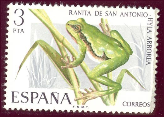 1975 Fauna Hispánica. Ranita de San Antonio - Edifil:2274