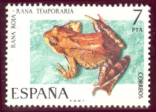 1975 Fauna Hispánica. Rana Roja - Edifil:2276