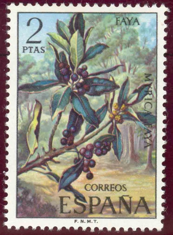 1973 Flora. Faya - Edifil:2121