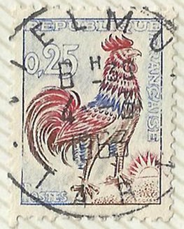 GALLO