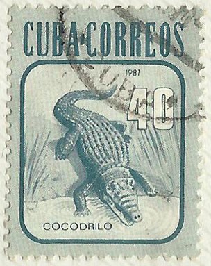 COCODRILO