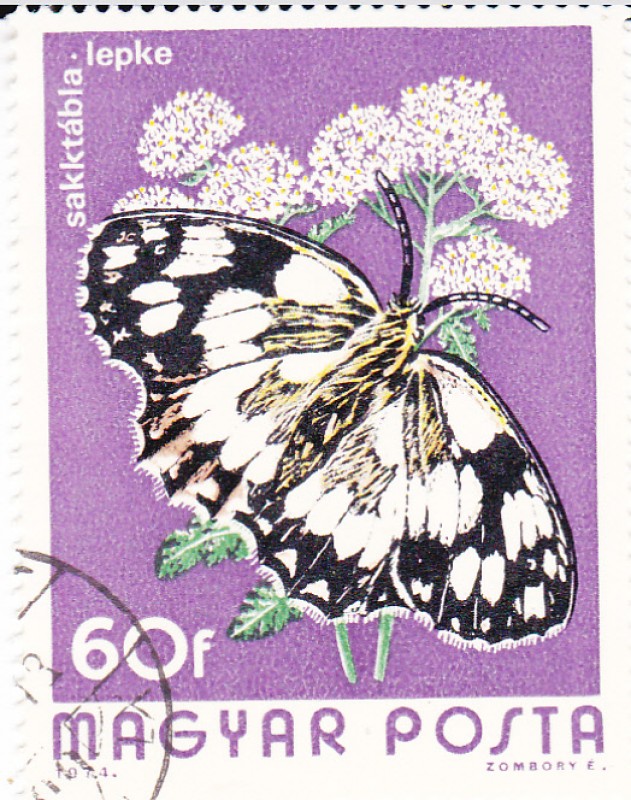 Mariposas