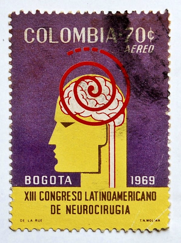 XIII Congreso Latinoamericano de Neurocirugia