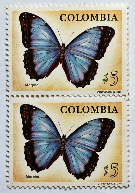 Mariposa