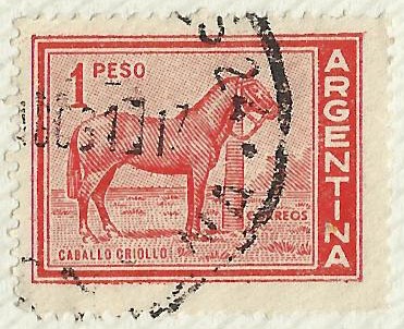 CABALLO CRIOLLO