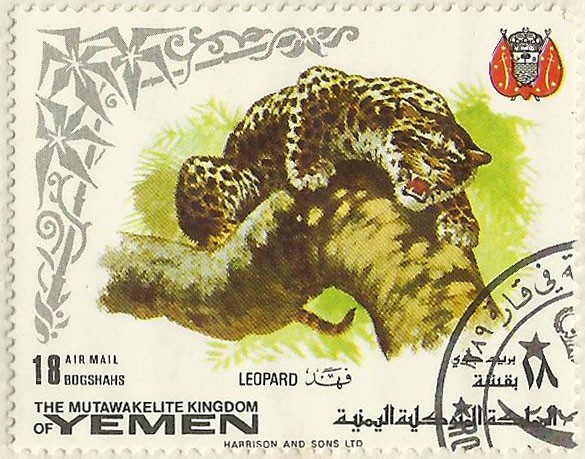 LEOPARDO