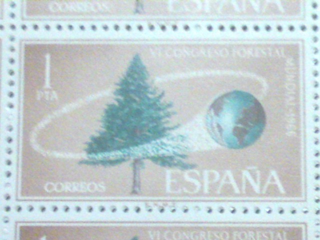 VI congreso forestal mundial