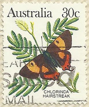 CHLORINDA HAIRSTREAK