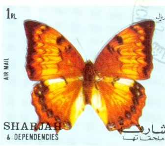 mariposas