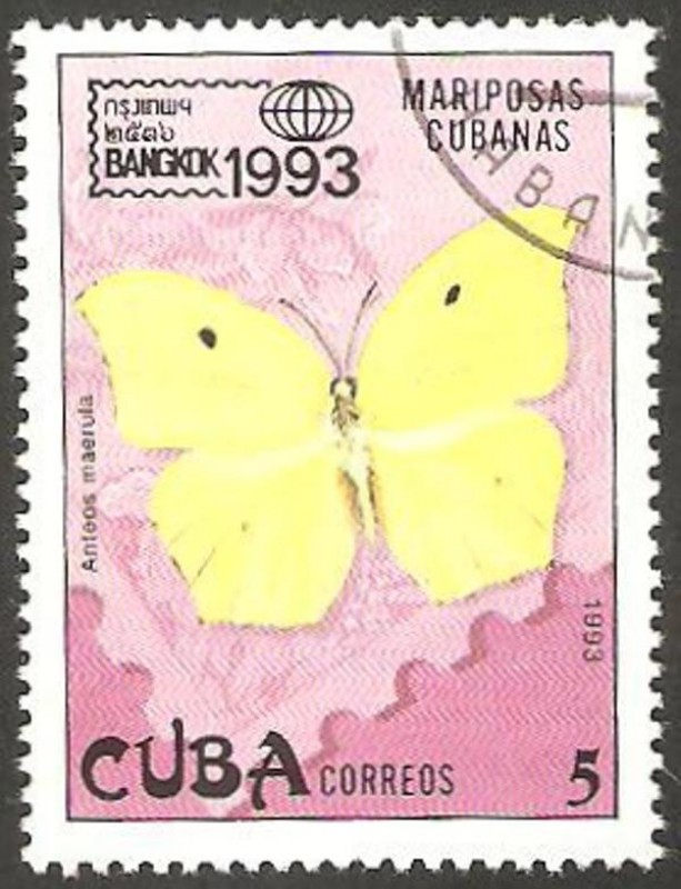 Mariposa