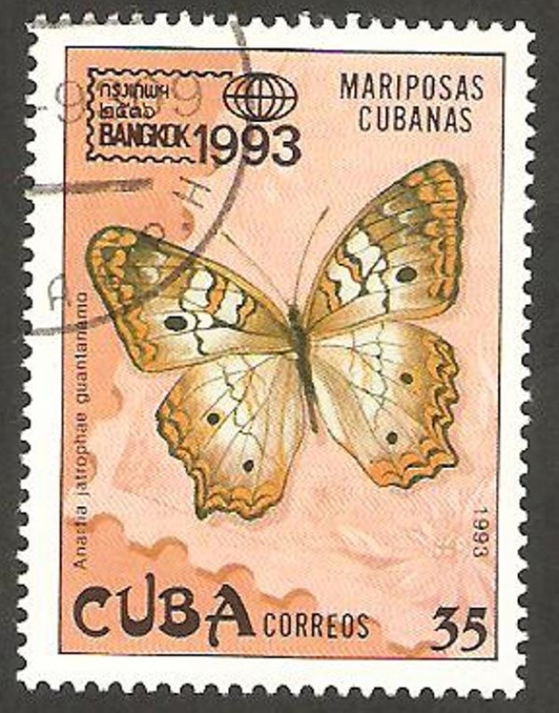 Mariposa