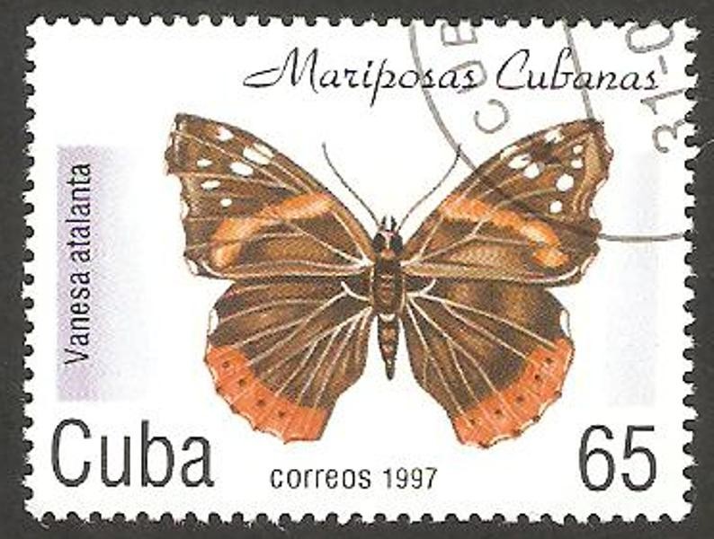 Mariposa