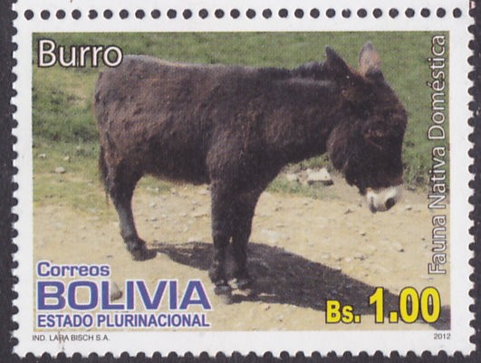 Fauna Nativa Domestica