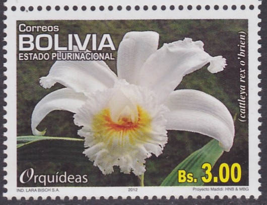 Orquideas