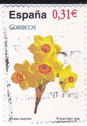 Flora-  NARCISO     (J)