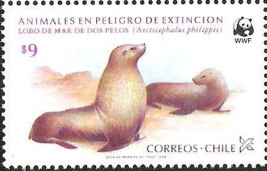 LOBO DE MAR DE DOS PELOS - ANIMALES EN PELIGRO DE EXTINCION