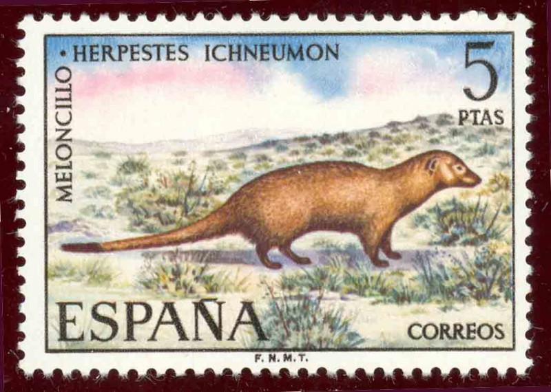 1972 Fauna Hispánica. Meloncillo - Edifil:2105