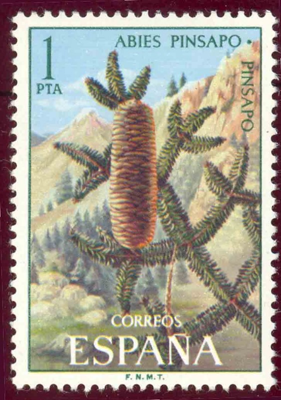 1972 Flora. Pinsapo - Edifil:2085