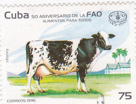 50 Aniversario de la FAO -Alimentos para Todos