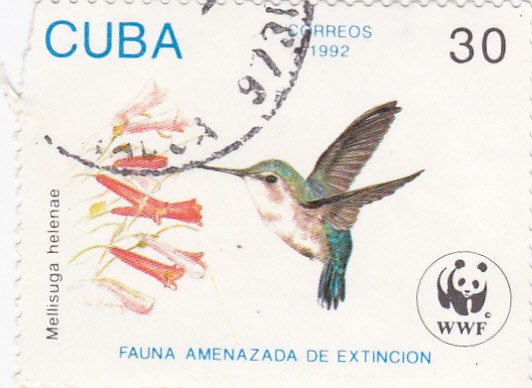 Fauna amenazada de extinción