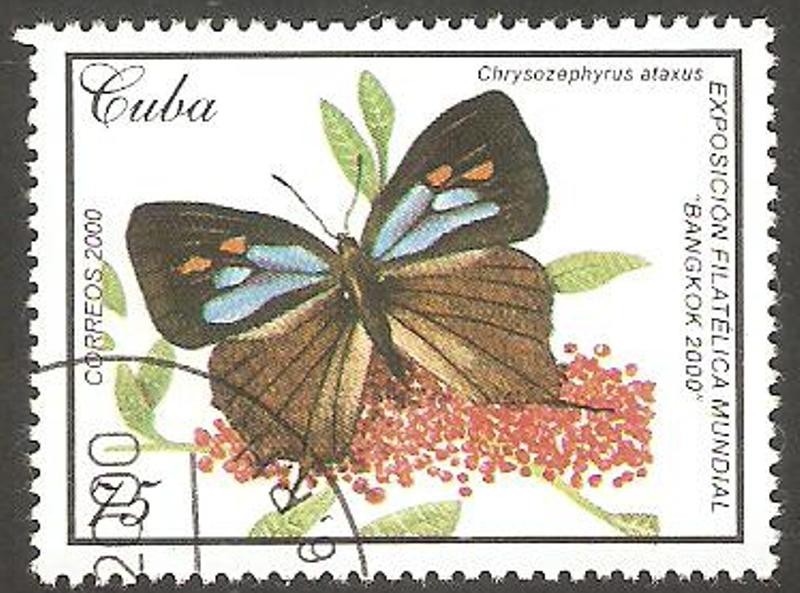 Mariposa