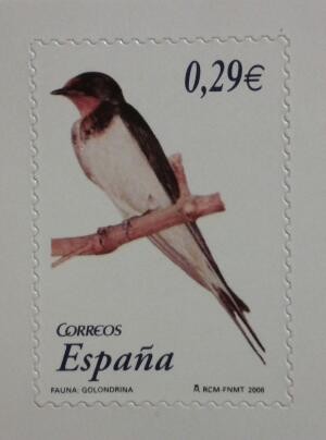 fauna. golondrina 2006