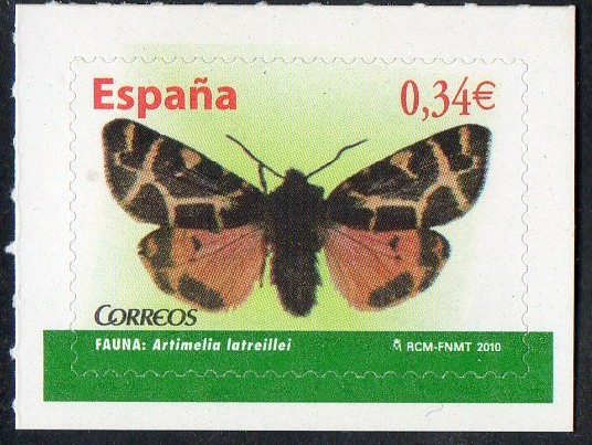 4533- Fauna. Mariposas. Artimelia latreillei.