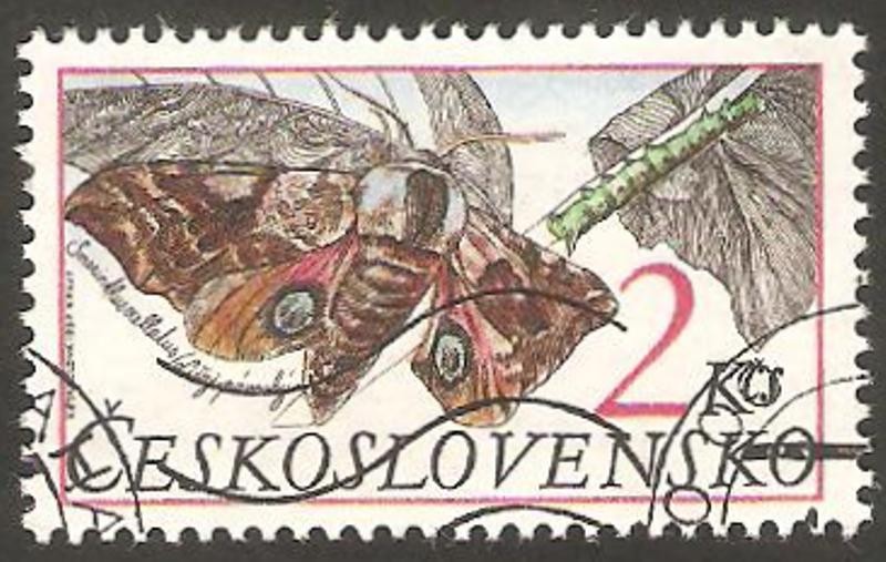 2715 - mariposa smerinthus ocellatus