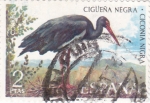 Fauna hispánica- Cigüeña negra        (Ñ)