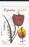 Flora- Tulipán        (Ñ)