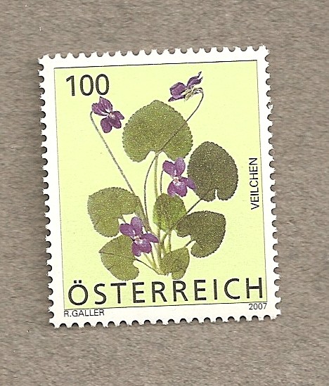 Violeta